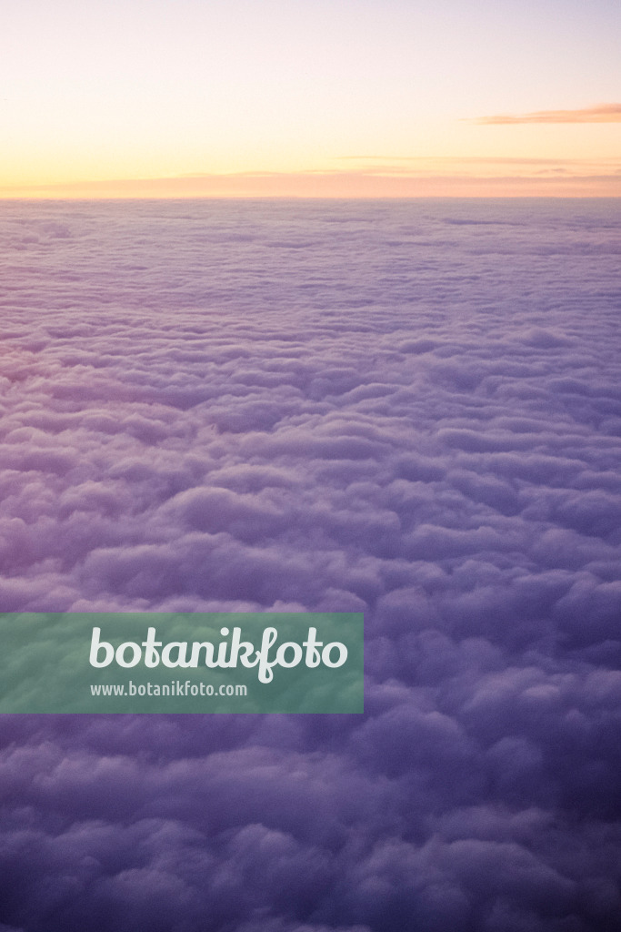 388001 - Purple cumulus clouds at sunrise