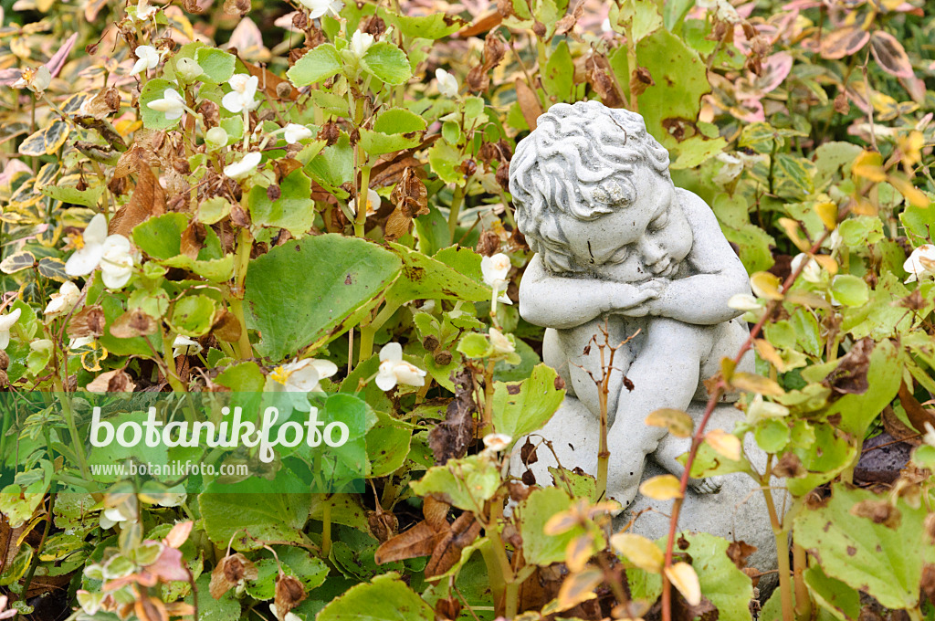 466066 - Putto dormant