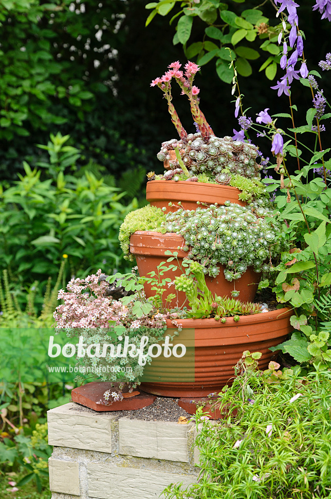 474112 - Pyramide de pots avec des plantes succulentes