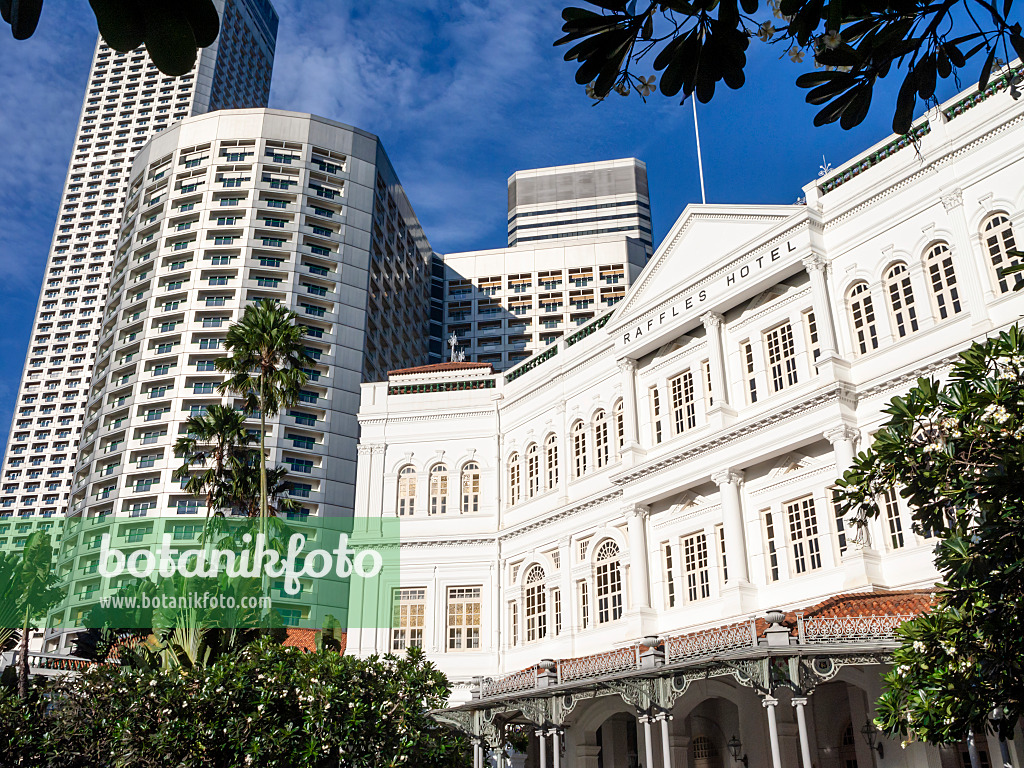 434101 - Raffles Hotel, Singapore
