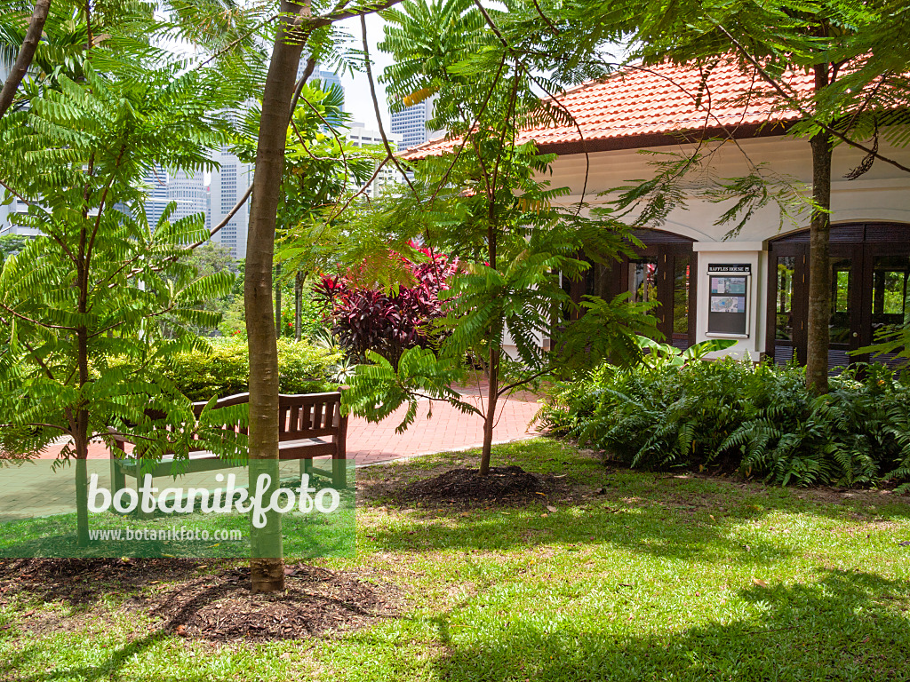 411158 - Raffles House, Fort Canning Park, Singapore
