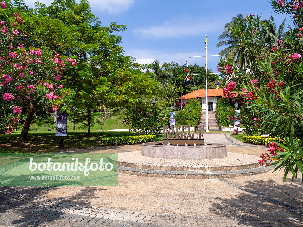 434263 - Raffles Terrace, Fort Canning Park, Singapour