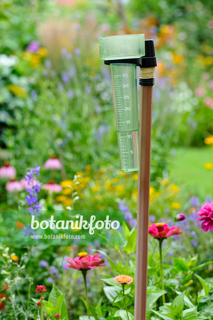 474329 - Rain gauge in a perennial garden