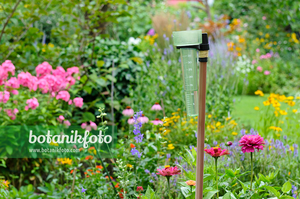 474330 - Rain gauge in a perennial garden