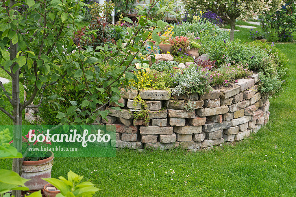 534259 - Raised bed made of bricks