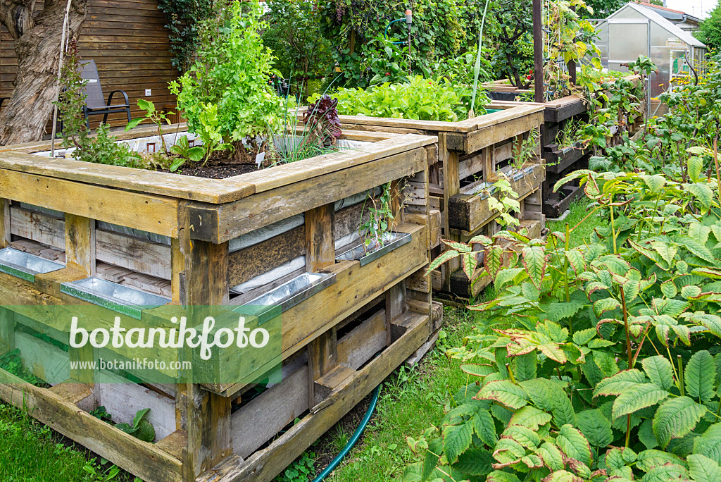 625007 - Raised bed made of wooden pallets