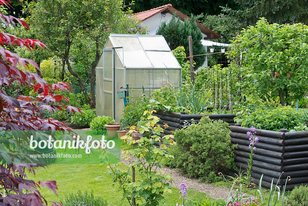 544167 - Raised beds and greenhouse in an allotment garden