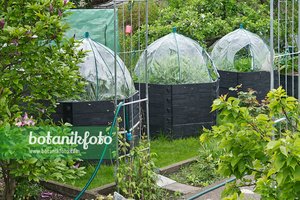 544101 - Raised beds in an allotment garden