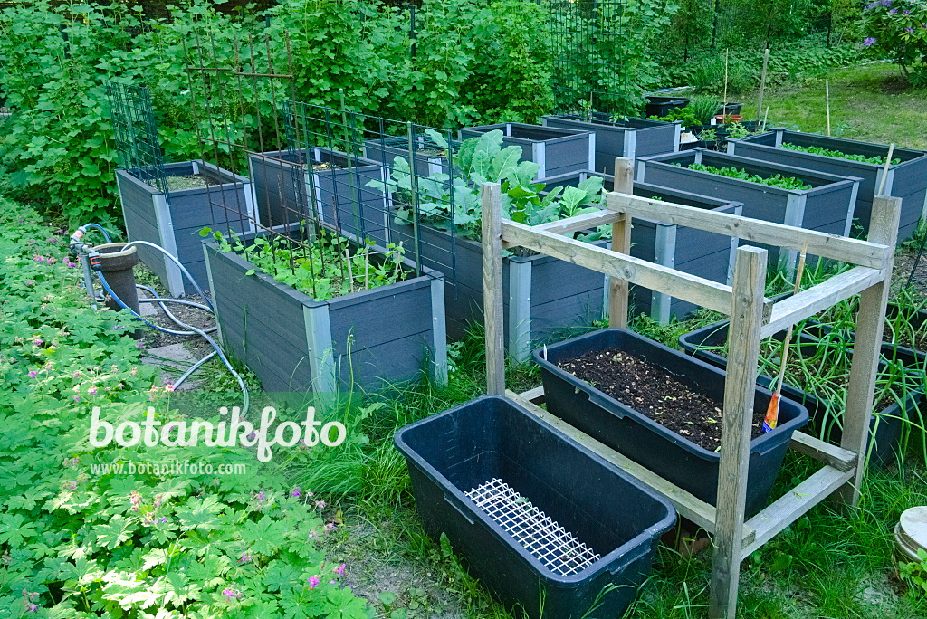 670010 - Raised beds in an allotment garden