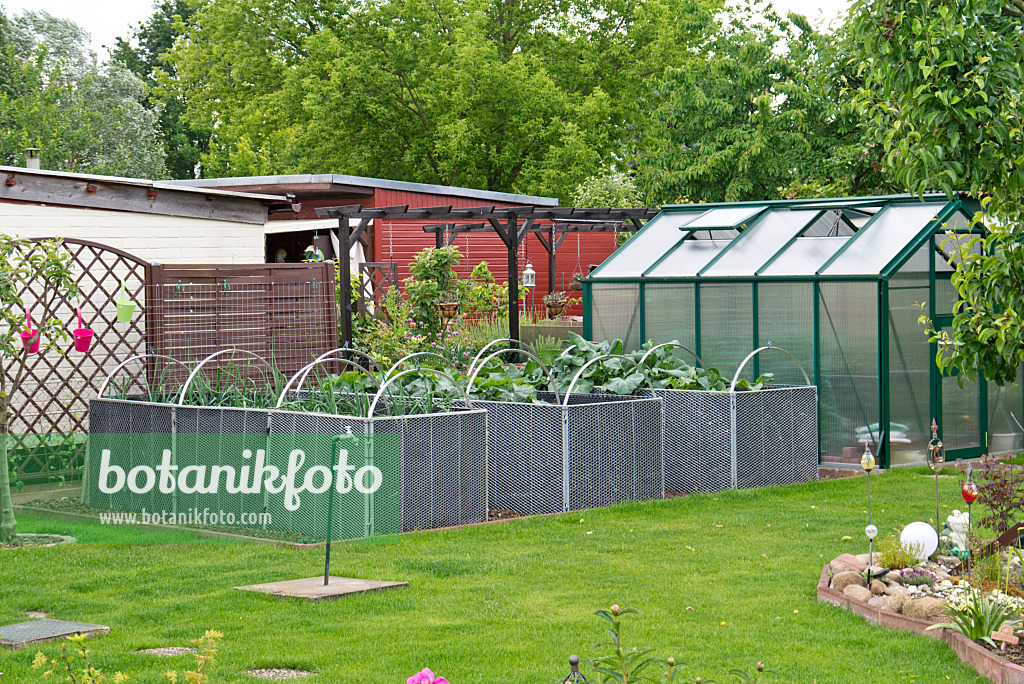 545107 - Raised beds of perforated metal walls in front of a greenhouse in an allotment garden