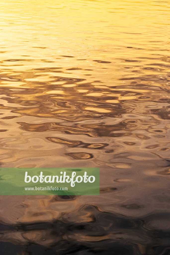 381016 - Reflections in the slightly agitated water of a lake in the evening sun