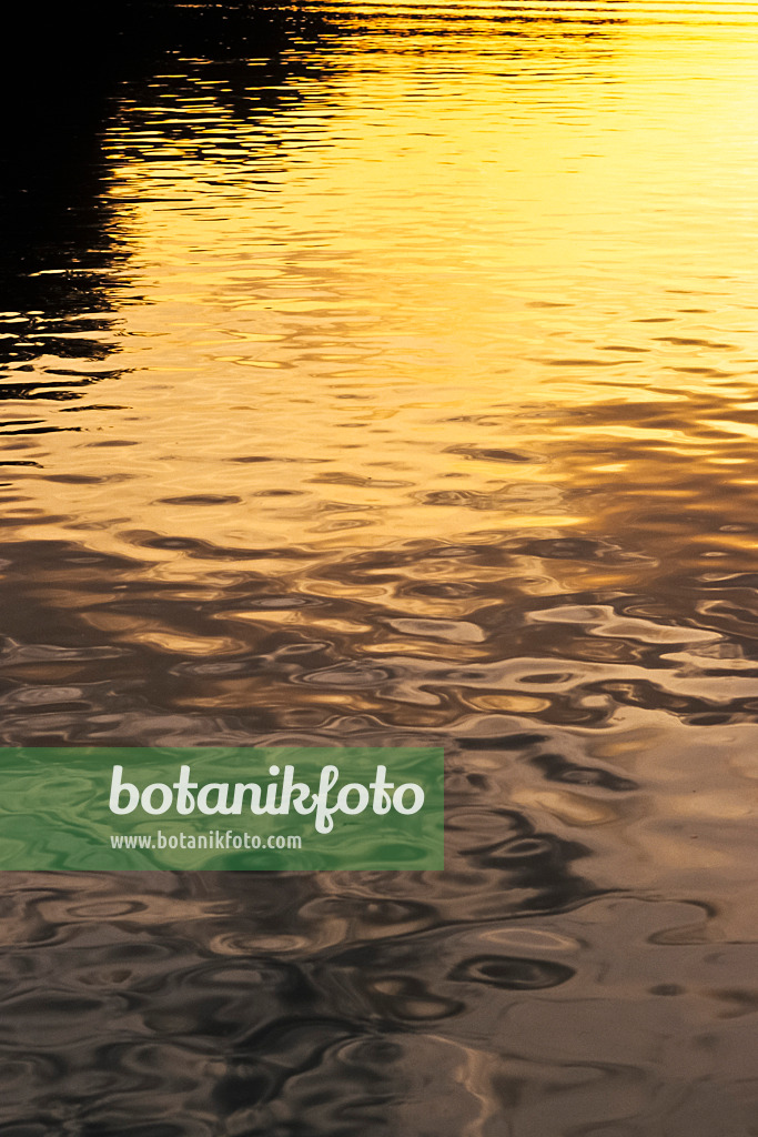 381015 - Reflets dans l'eau légèrement mouvante d'un lac au soleil du soir