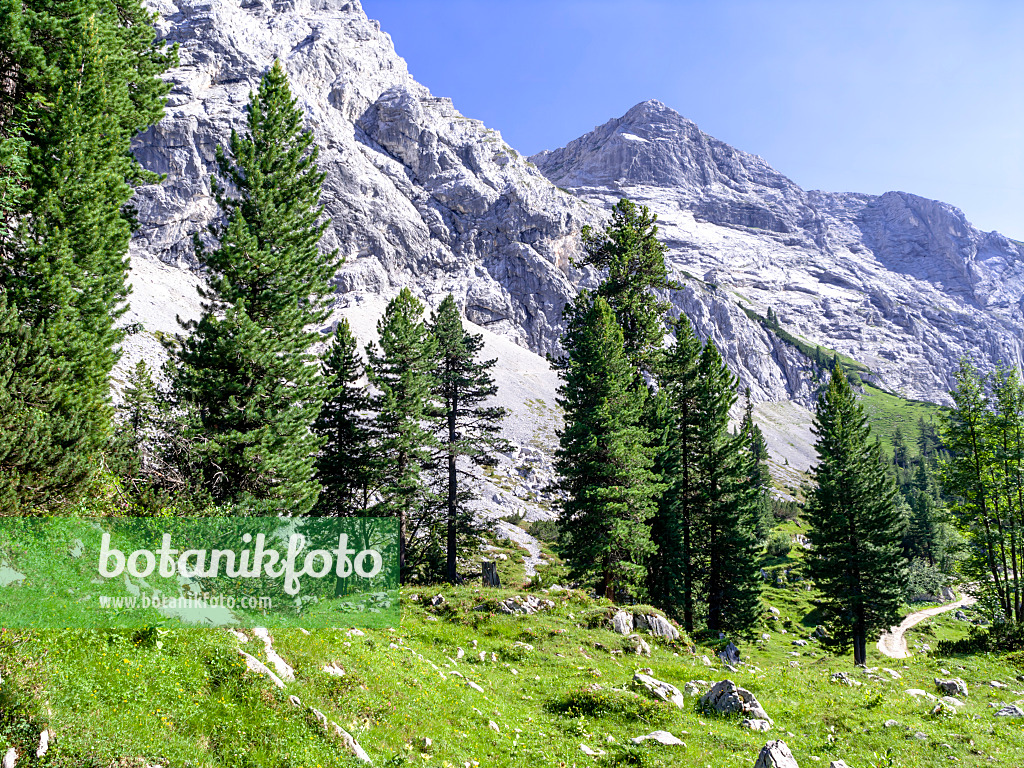 439355 - Réserve naturelle des montagnes de Wetterstein, Allemagne