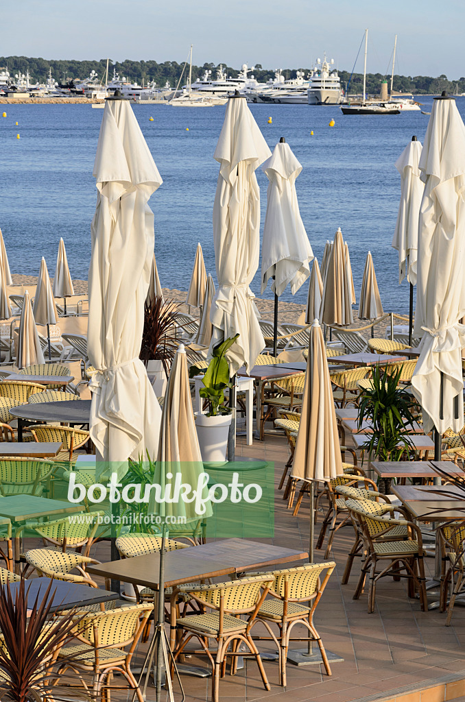 569020 - Restaurant an der Promenade de la Croisette, Cannes, Frankreich