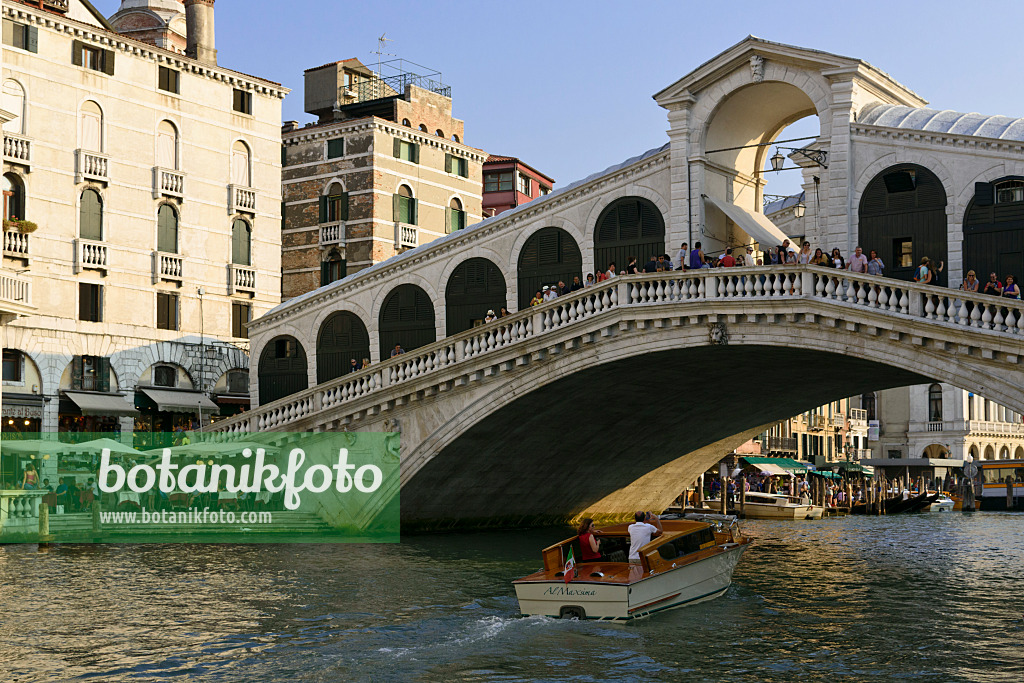 568079 - Rialtobrücke, Venedig, Italien