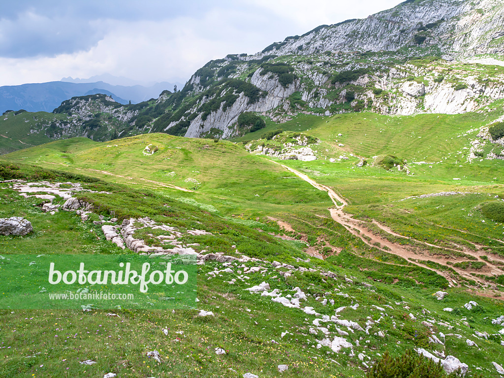 439305 - Rofangebirge, Autriche