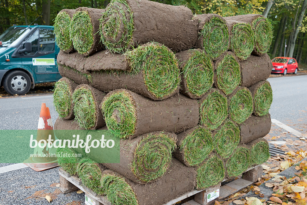 548127 - Rolled sods