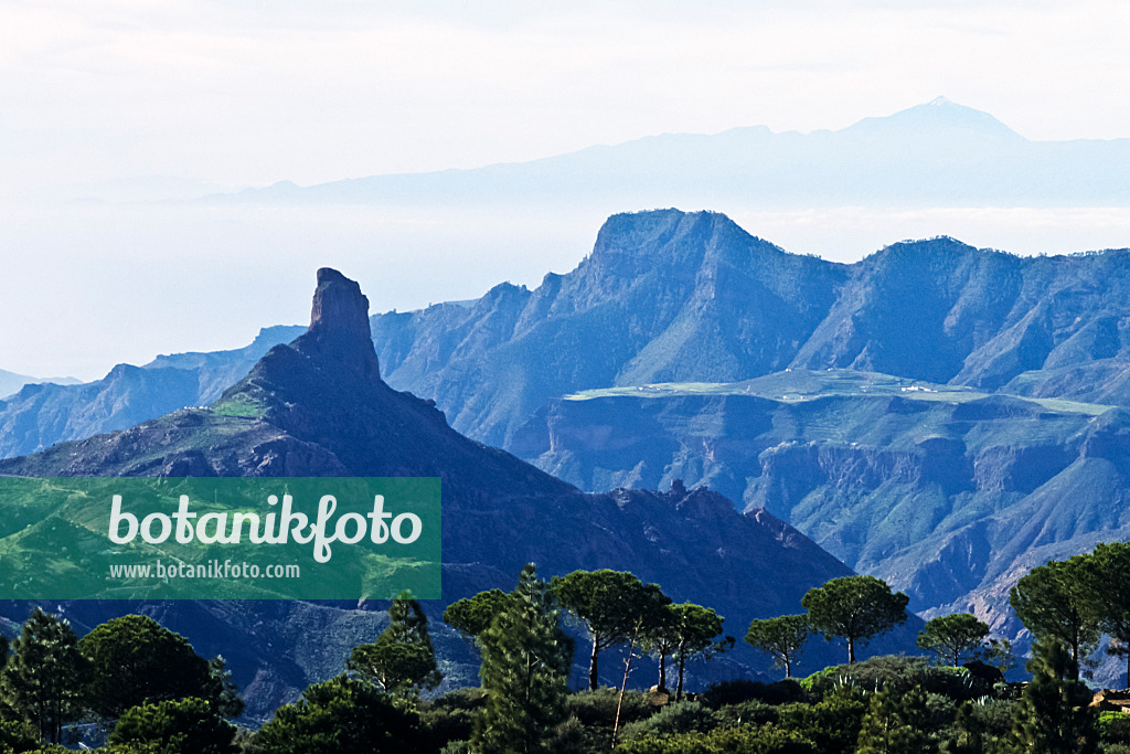 397125 - Roque Bentaiga and Tenerife, Gran Canaria, Spain