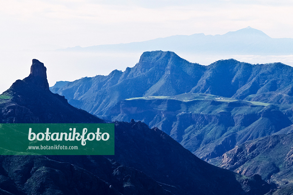 397126 - Roque Bentaiga and Tenerife, Gran Canaria, Spain