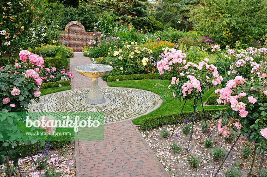474079 - Rose garden with granite fountain and half standard roses