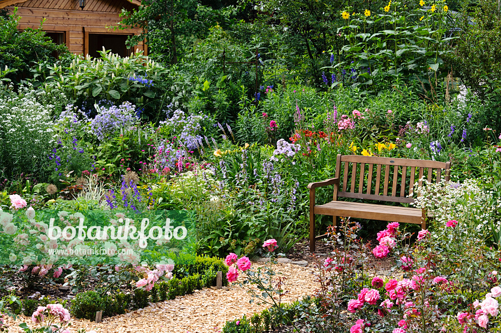 474153 - Roseraie avec un banc de jardin