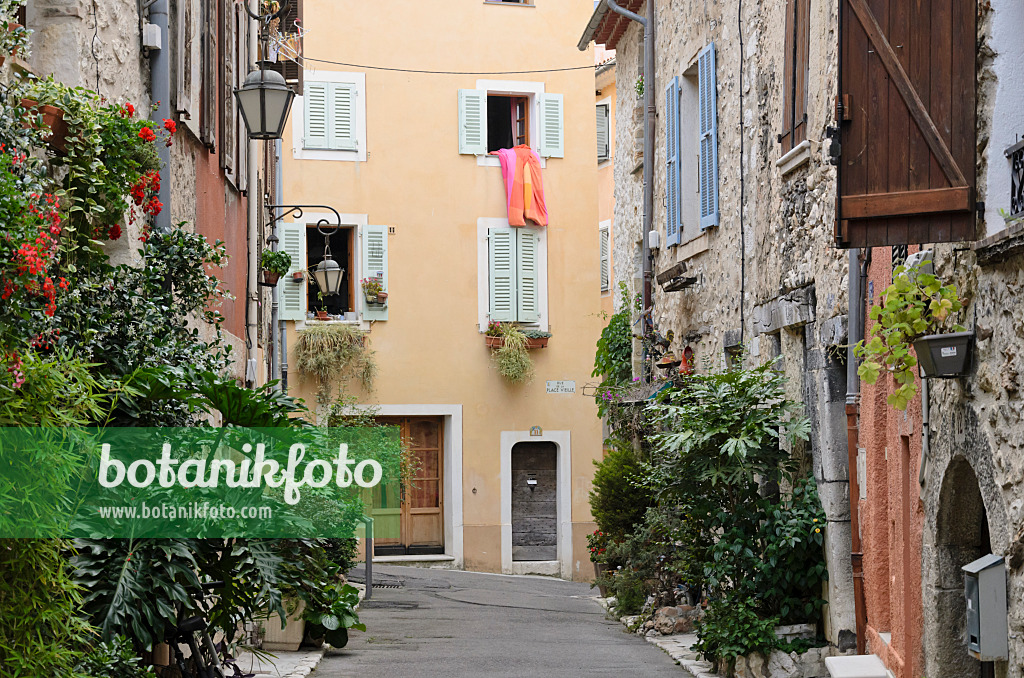 569092 - Ruelle avec des bacs à fleurs dans la vieille ville, Vence, France