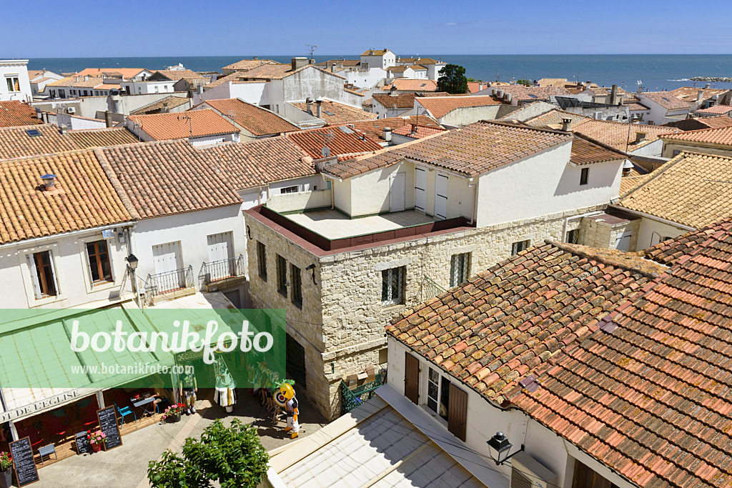 557101 - Saintes-Maries-de-la-Mer, Camargue, France