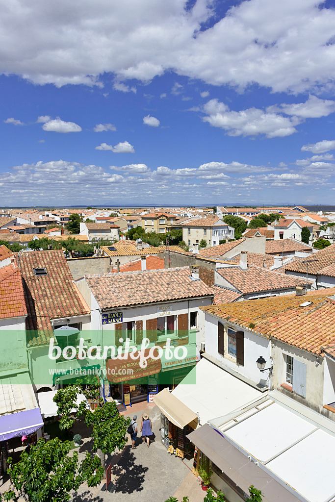 557102 - Saintes-Maries-de-la-Mer, Camargue, France