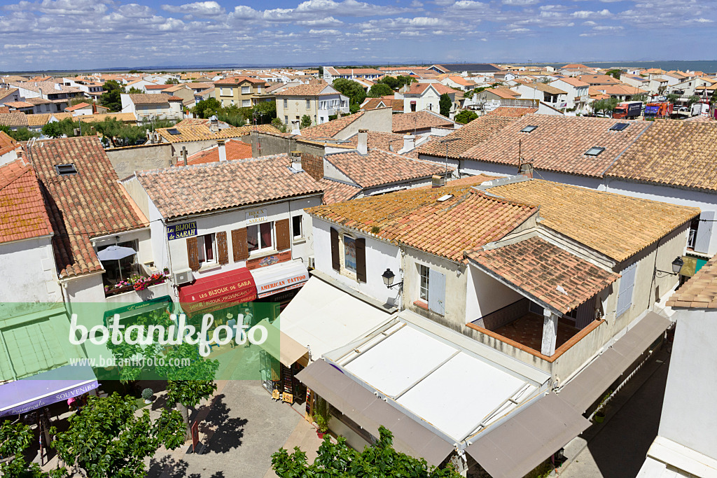 557103 - Saintes-Maries-de-la-Mer, Camargue, France