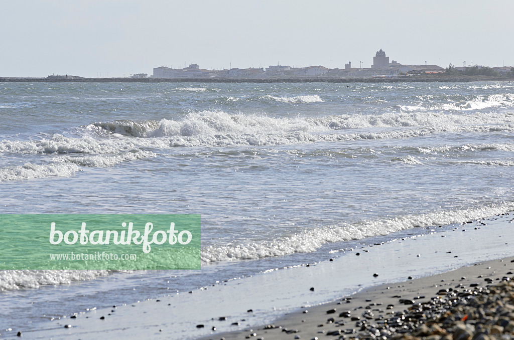 557269 - Saintes-Maries-de-la-Mer, Camargue, France