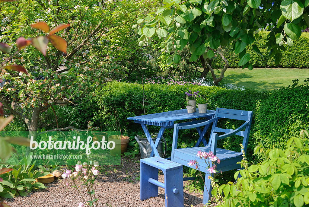 509154 - Salon de jardin avec une chaise bleue