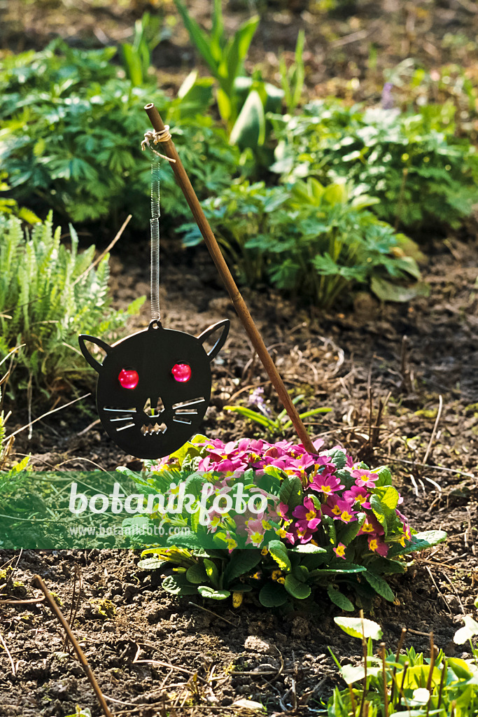 388180 - Scarecrow in the shape of a black wooden cat's head hanging on a stick in a garden bed