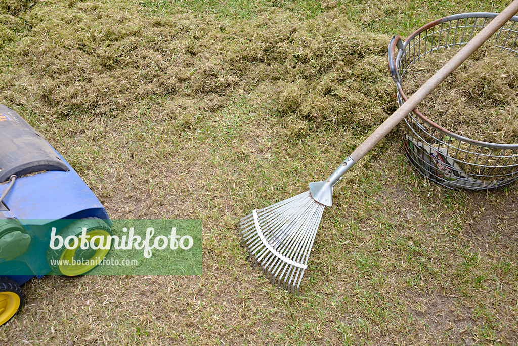 531234 - Scarifying the lawn