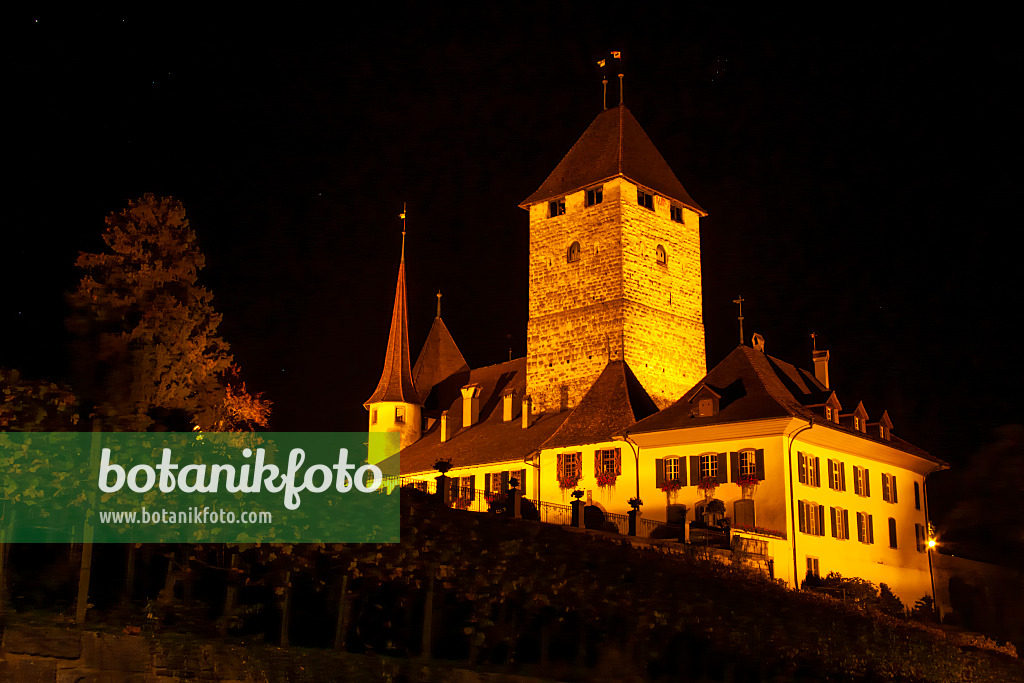 453186 - Schloss, Spiez, Schweiz