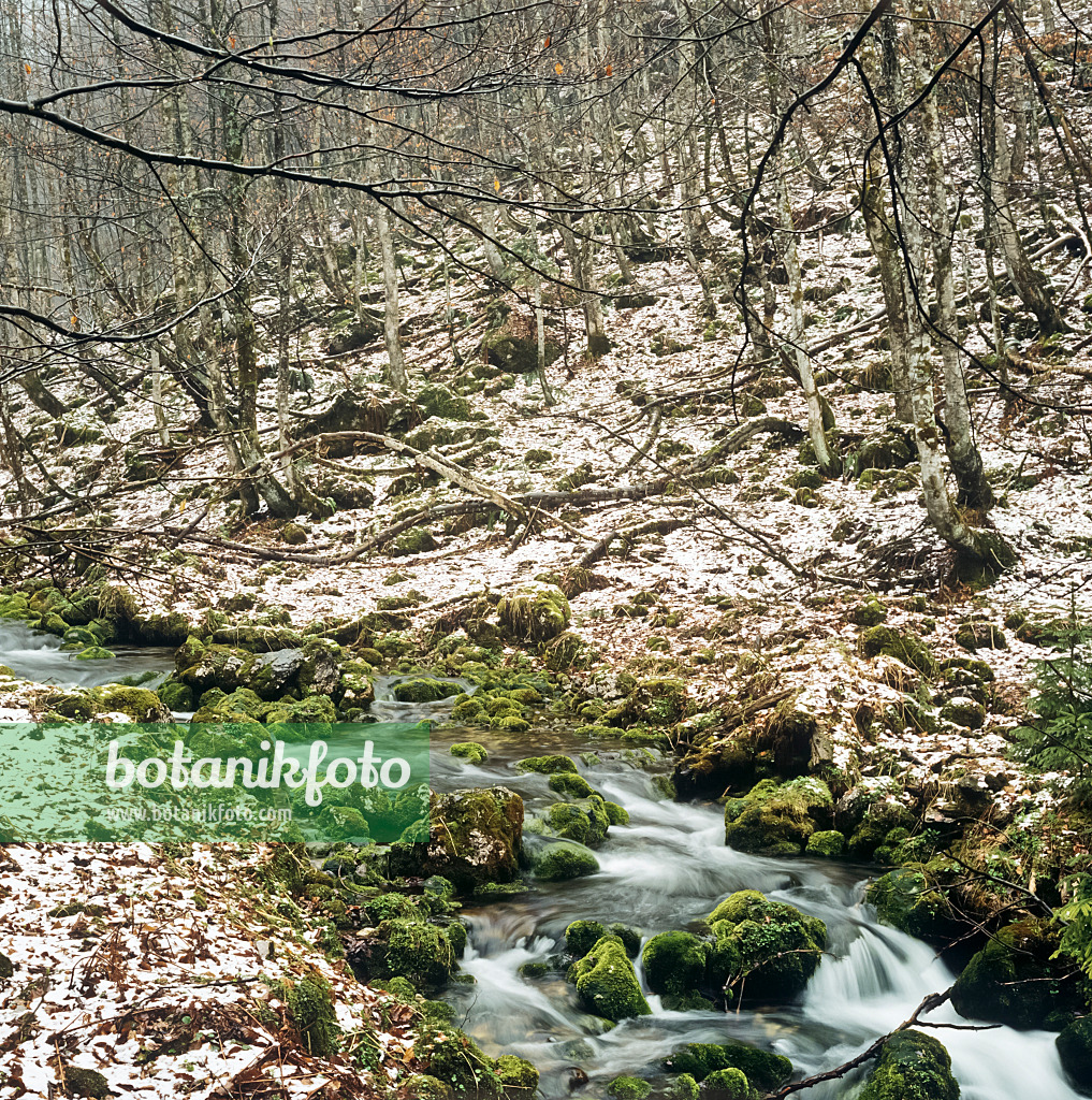 244016 - Schrainbach, parc national de Berchtesgaden, Allemagne