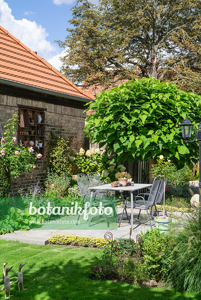 625011 - Seating area in a garden