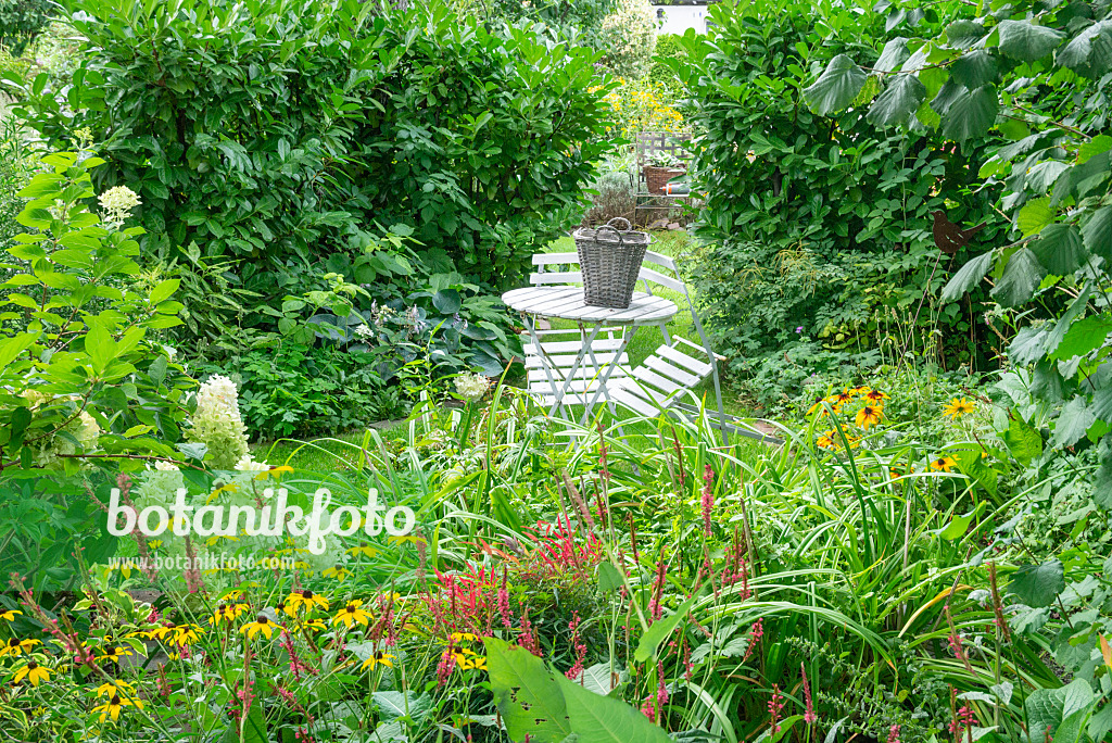 625006 - Seating area in a perennial garden