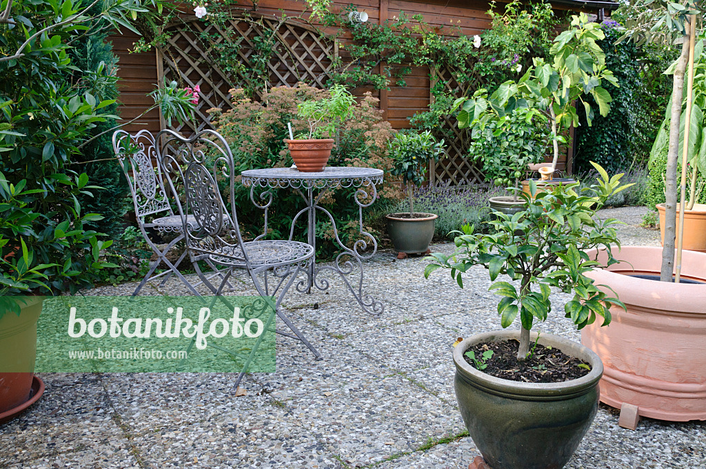 474442 - Seating area with potted plants
