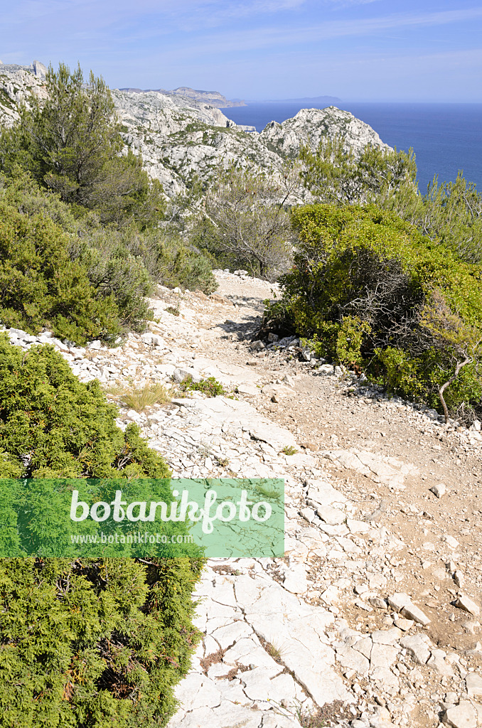 533161 - Sentier de randonnée, parc national des Calanques, France