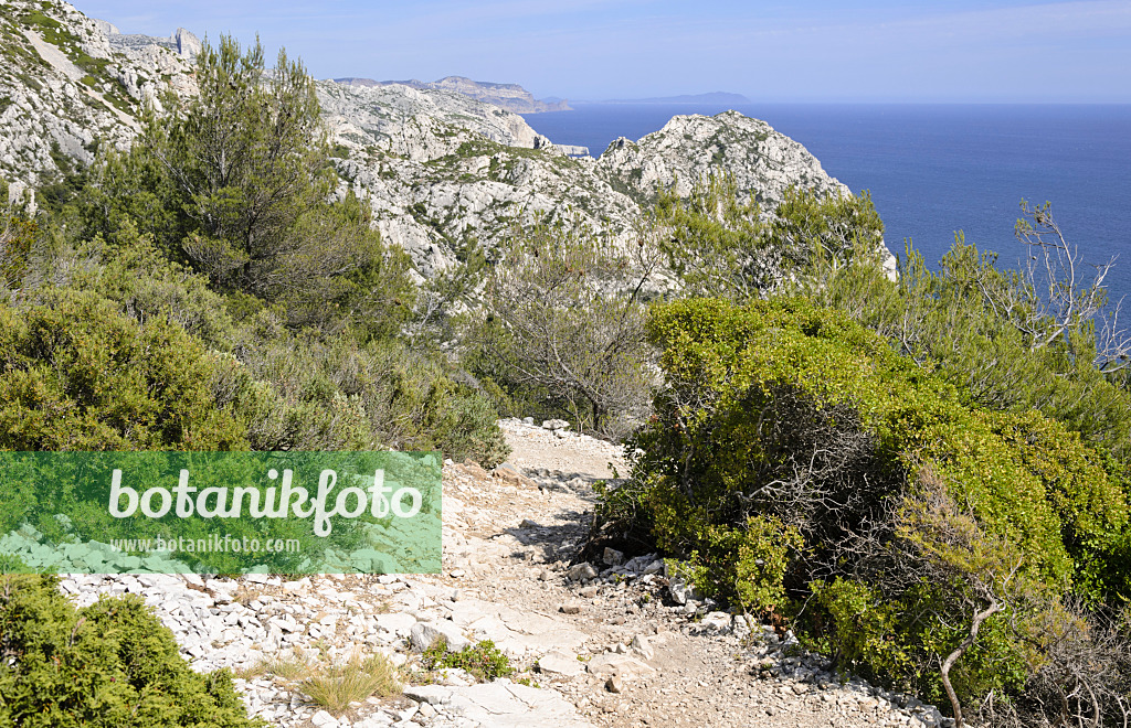 533162 - Sentier de randonnée, parc national des Calanques, France