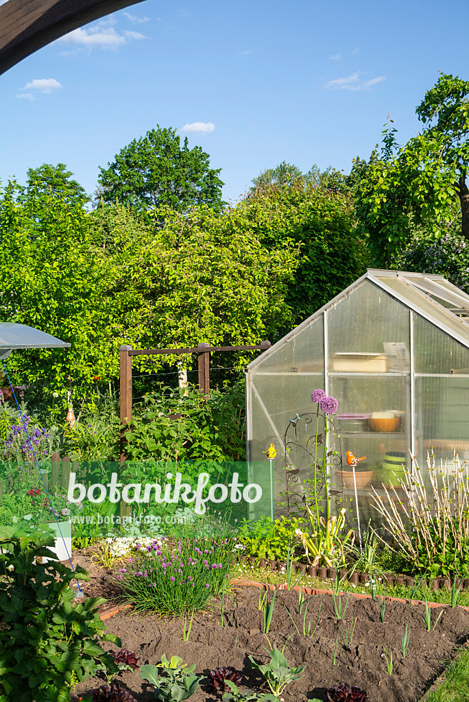 625036 - Serre dans un jardin familial