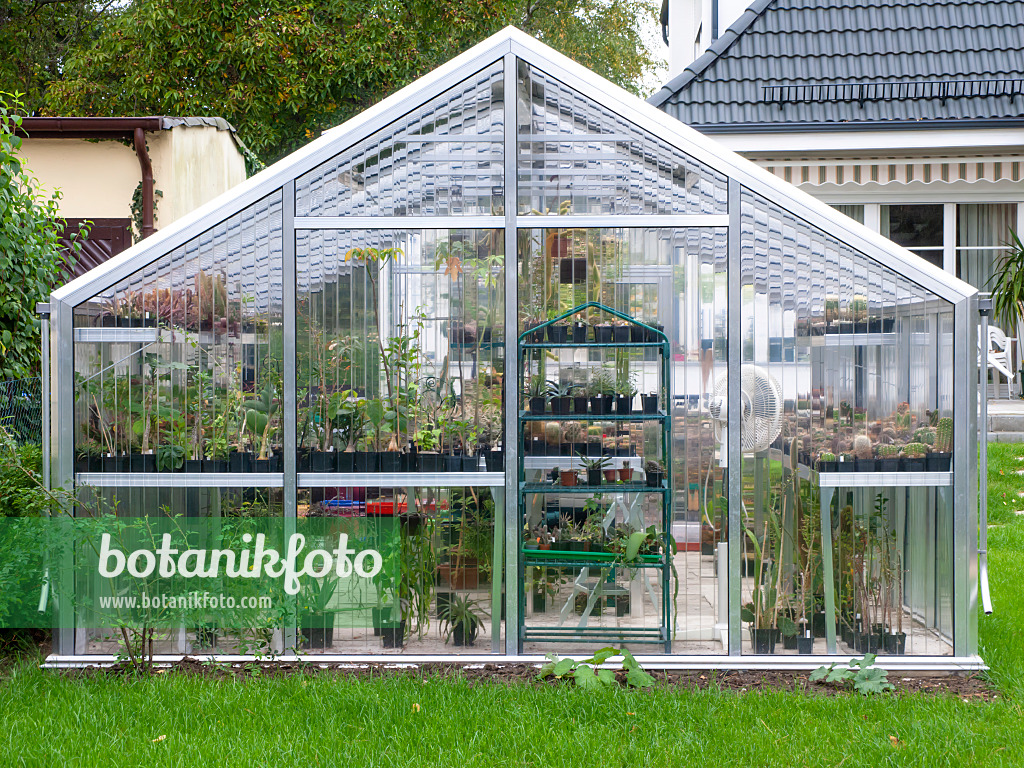 477131 - Serre en aluminium et en verre avec de nombreux pots de plantes et des cactus dans un jardin