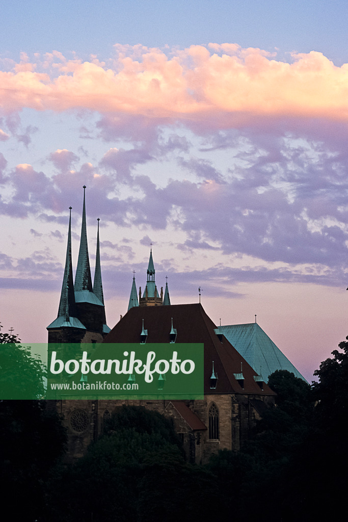381068 - Severikirche, Erfurt, Allemagne