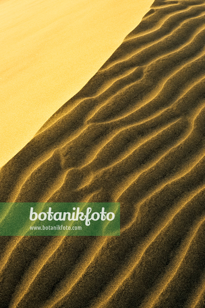397045 - Shifting sand dunes, Maspalomas, Gran Canaria, Spain