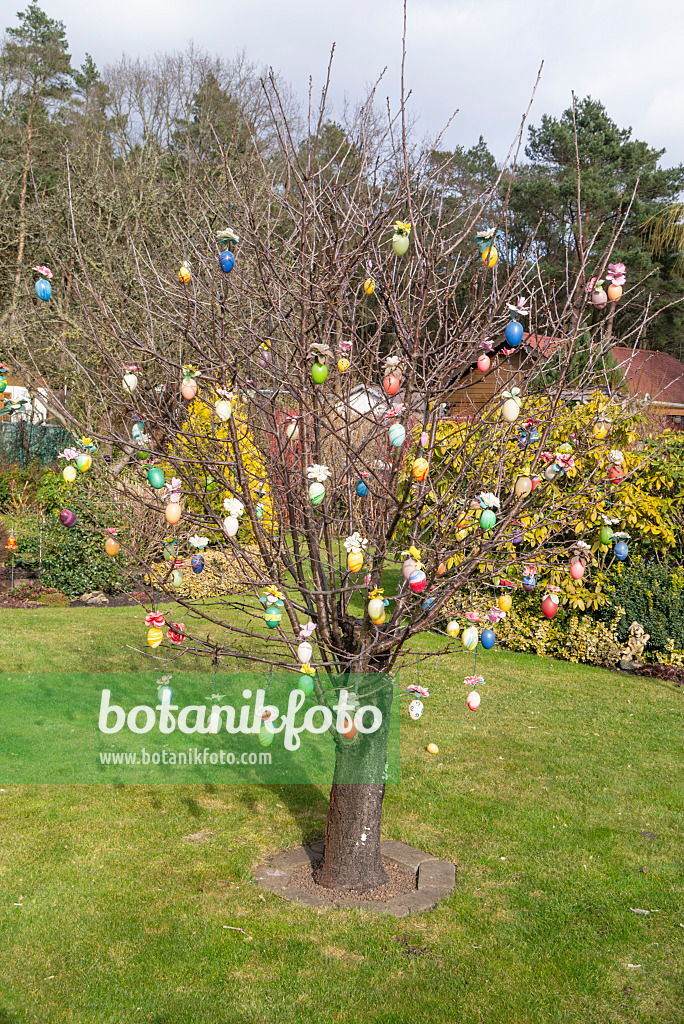 625026 - Shrub with Easter eggs