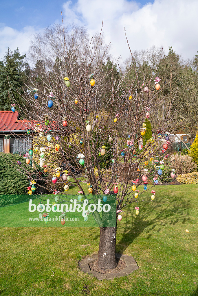 625027 - Shrub with Easter eggs