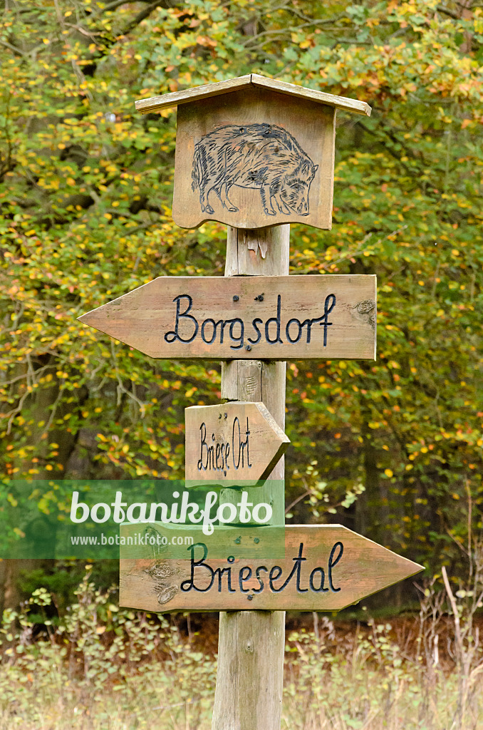537032 - Signpost, Brandenburg, Germany