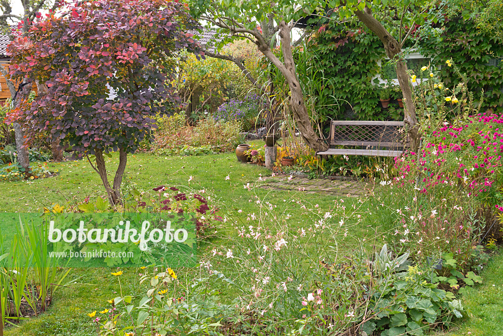 576007 - Sitzplatz in einem herbstlichen Garten