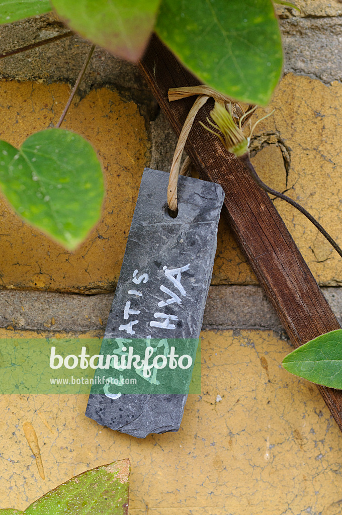 473255 - Slate plant label
