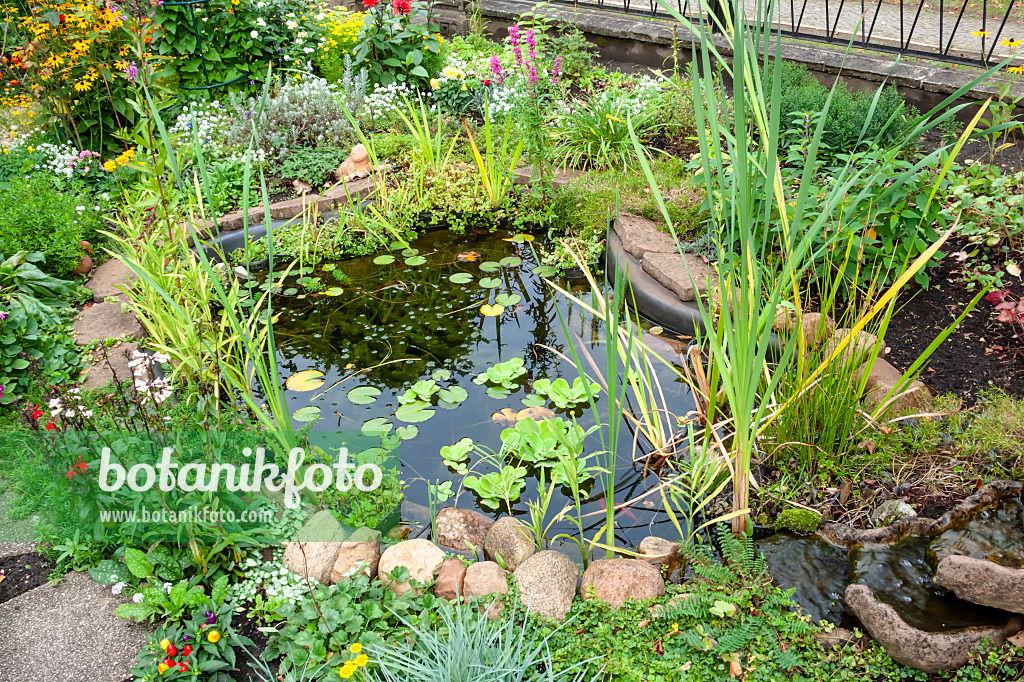 464058 - Small garden pond surrounded by stone slabs and large pebbles